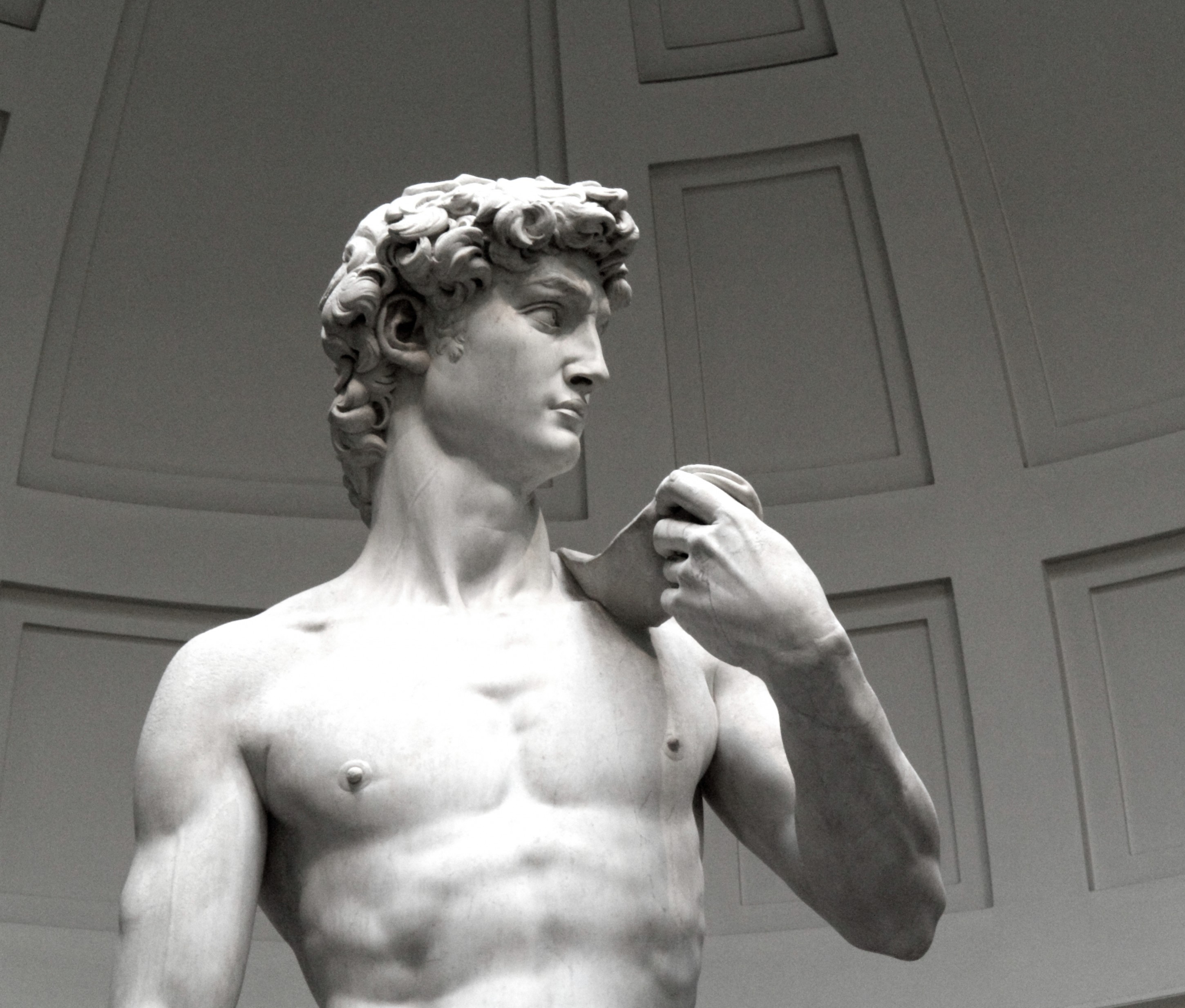 The statue of david by michelangelo a
